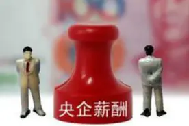 工行董事长年薪仅50万 国企央企老总赚这么多你信吗视频封面