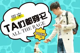 胡歌清爽风衣逛韩国，撩妹不够还要撩狗！图片