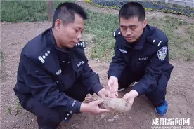 村民植树挖出炮弹 民警赶到及时处置图片