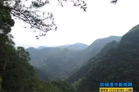 呵护北部湾“绿肺”--广西十万大山国家级自然保护区生态建设纪实图片
