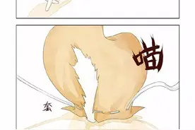 漫漫漫画|陪伴是最长情的告白图片