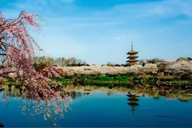 踏青赏花徒步登山，湖北到处是美景图片