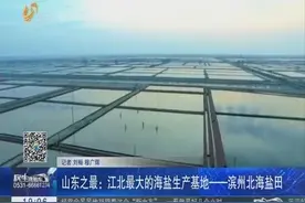山东之最：江北最大的海盐生产基地——滨州北海盐田视频封面