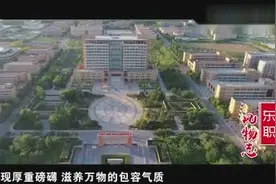 东营职业学院宣传片——《东职风物志》视频封面