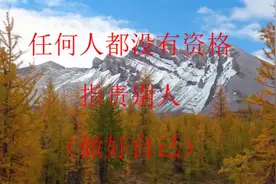 任何人都没有资格指责别人（做好自己）视频封面