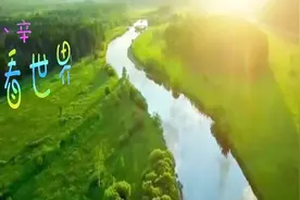 曾是中国最大的原始森林，相当于130个新加坡，现已归邻国所有视频封面