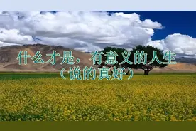 什么才是，有意义的人生（说的真好）视频封面