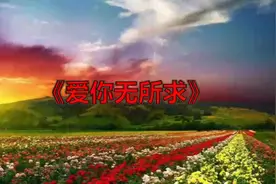 一首《爱你无所求》从恋爱到分手！唱哭多少有情人！视频封面