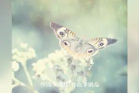 《微信红包》恭喜发财，大吉大利！视频封面