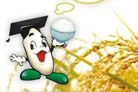 种子诞生记｜小种子也有大梦想图片
