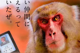 日本警察招募海报！东京和大阪的警察原来差别这么大！图片