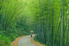 “你离开我，才是旅行的意义”图片