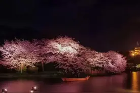 天堂里的爷爷，已与时钟道别离图片