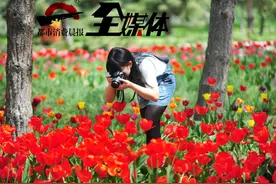 “五一”乌鲁木齐赏花攻略出炉 尽情的撒欢吧~图片