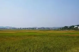 马家河不只有田园风光  还有一个中医世家图片