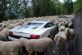 日本网民：你们看看中国的堵车情景图片