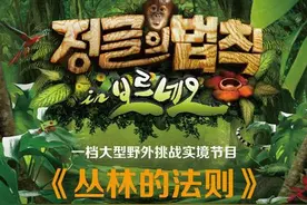 丛林的法则播出时间 走过路过千万不要错过图片