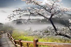 遗憾，是另一种成全,另一种美图片