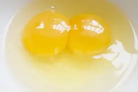 双黄蛋怎么形成？有下双黄蛋的特种家禽？能孵化出两只小鸡？图片