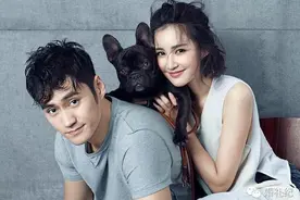 袁弘大婚红了一条斗牛犬 狗狗入婚纱照果真靠谱吗？图片