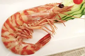虾的营养价值表图片