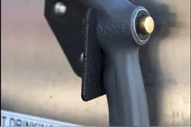 英国海滩率先推出洗狗机 只需几分钟狗狗就可洗白白图片