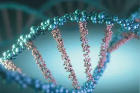 Nature：用二维码构建“DNA编码库”，DNA标签成药物研发支柱图片
