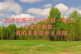这样切茄子可以拉到一米长，手把手教你，真的非常简单又详细视频封面