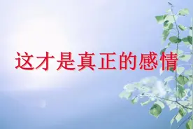 这才是真正的感情视频封面