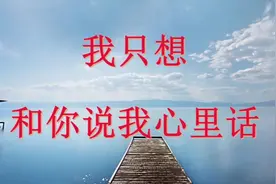我只想和你说我心里话（句句入心）视频封面