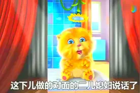 小猫说段子：丈母娘测试女婿，结果真乐呵了！视频封面