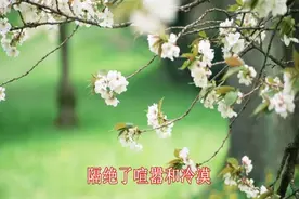 王俊凯-给未来的自己视频封面