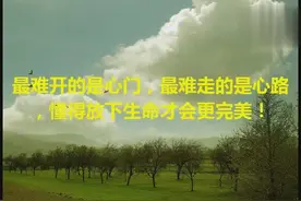 最难开的是心门，最难走的是心路，懂得放下生命才会更完美！视频封面