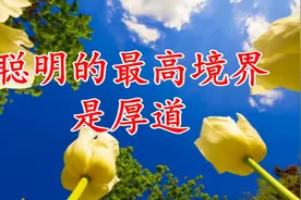 厚道是聪明的最高境界视频封面
