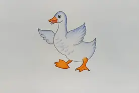 简笔画动物绘画大全 鸭子的简单画法 喜欢的动手画画看呗！视频封面
