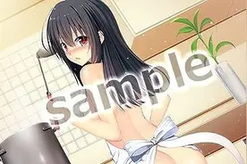 《三极姬4》PS4版店铺特典公开 施耐庵也被娘化了！图片