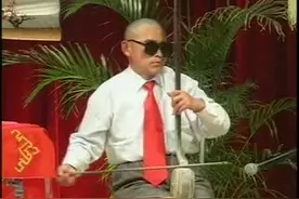 河南坠子：薛仁贵征东8视频封面