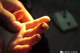 宝宝意外受伤怎么办？这些正确处理方法赶紧收藏了！图片