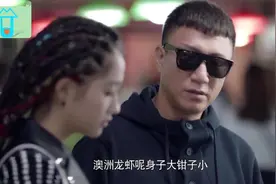 孙红雷教你如何辨别澳洲龙虾和波士顿龙虾的区别视频封面