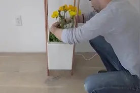 材料简单却瞬间为客厅加分，教你自做DIY自备补光系统的花架视频封面