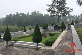 佛山实现100%节地生态葬 仅2%选择“树葬”等生态葬图片