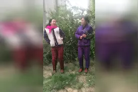 爆笑视频；坐个公交车还能挤怀孕了视频封面