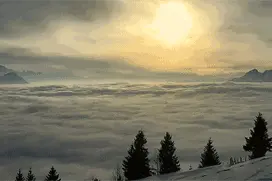 你最大的问题是不懂得欣赏自己图片