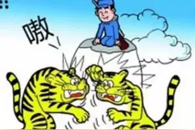 深度解密：雅迪和超威双双缺席天津展，有什么内幕？图片