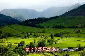 杨坤-你这个坏坏女人视频封面