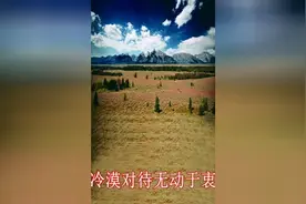 黄勇-勇敢勇敢（电视剧《永不低头》主题曲）