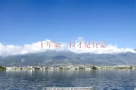二十年如一日才是真爱视频封面