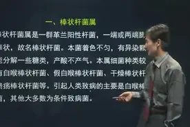 兼性厌氧革兰阳性杆菌及检验视频封面