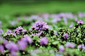 鹏程No.48｜《为了修路，他从千万富翁到负翁》视频封面