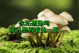 你还想她吗，我只想再看她一眼，说的太好了视频封面
